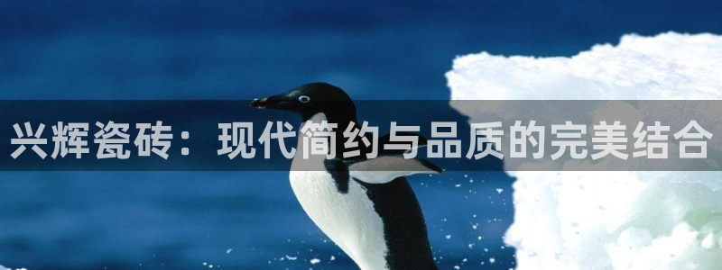 金年会电子游戏：兴辉瓷砖：现代简约与品质的完美结合