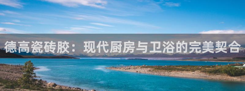 金齿科年会
