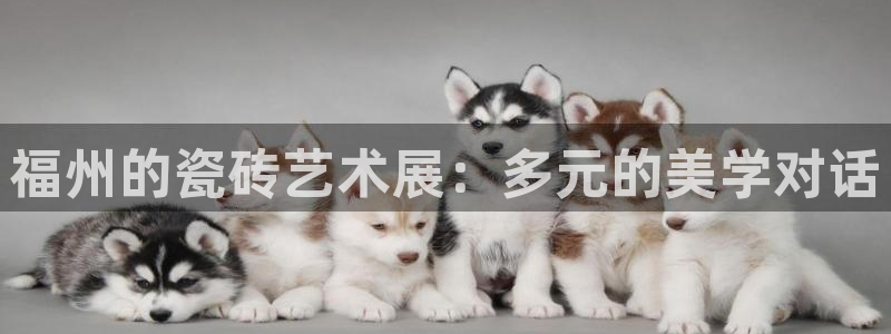 金年会活动策划