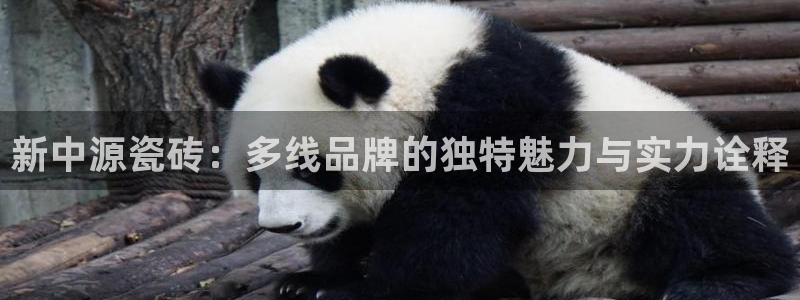 金年会 金字招牌