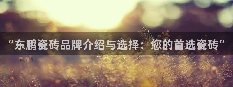 金年会最新登录