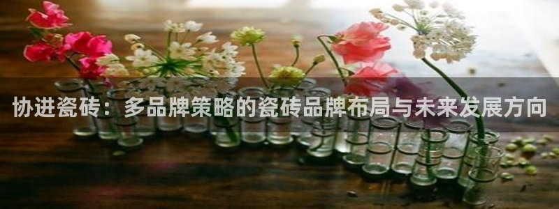 金年会下载