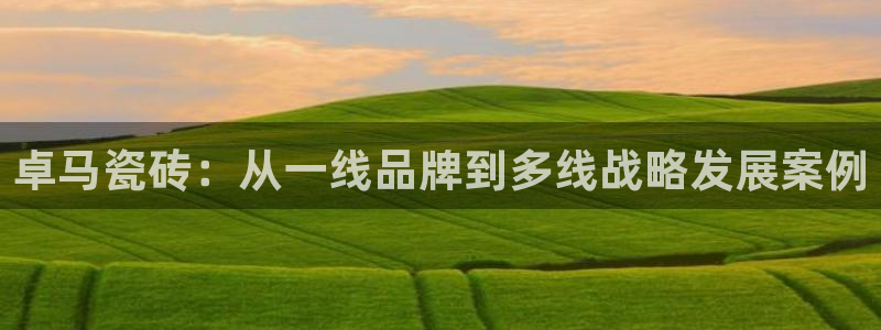 jinnianhui 金年会