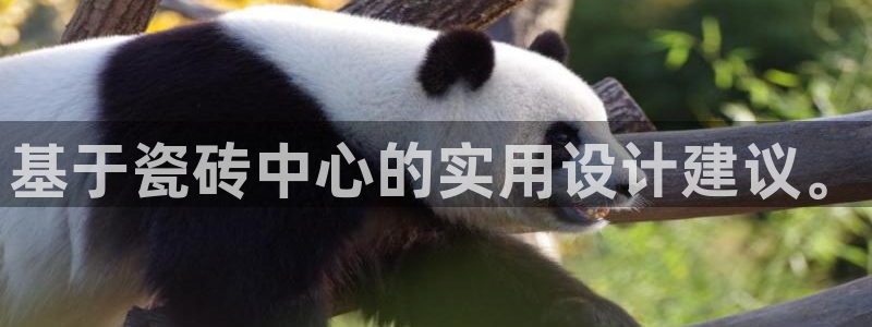 金年会体育app官网