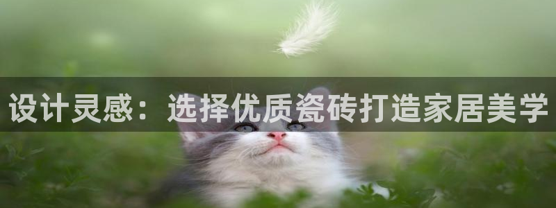 金年会金字招牌信誉