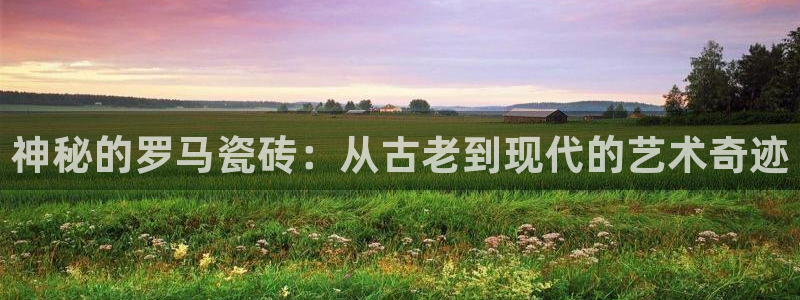 金年会全站