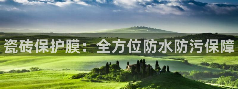 金年会平台是真的吗