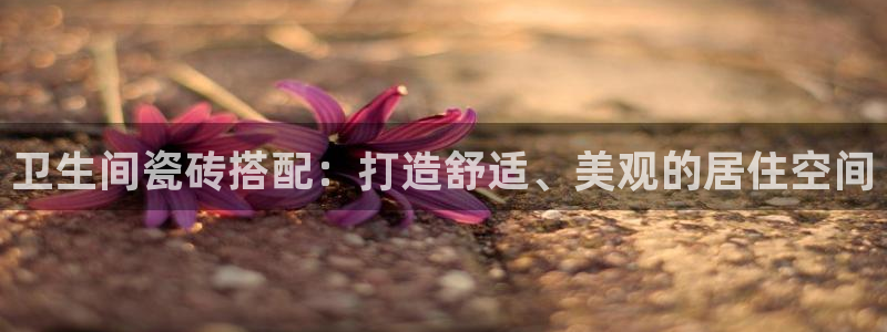金年会平台游戏