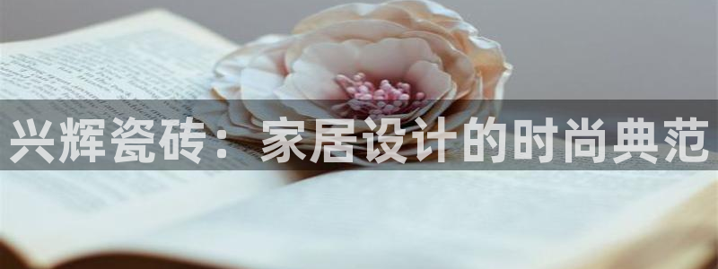 金年会体育官网在线