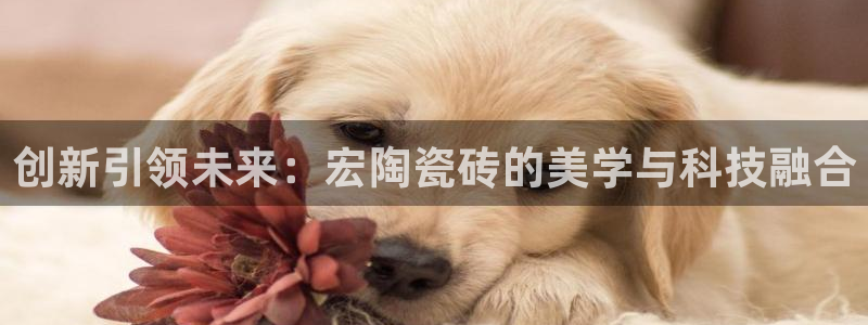 金年会平台是什么