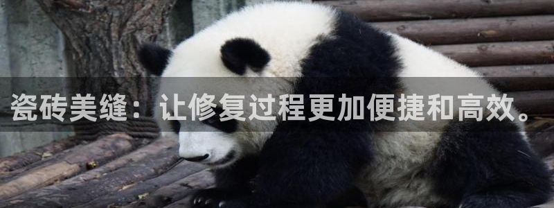 金年会登录平台入口