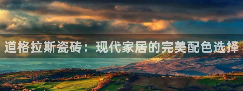 金辉城年会视频