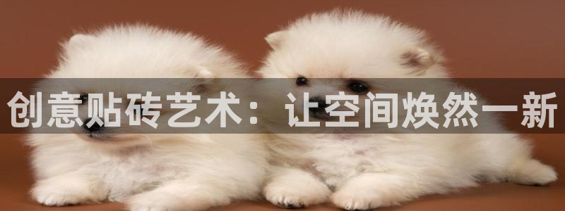 金年会体育苹果下载