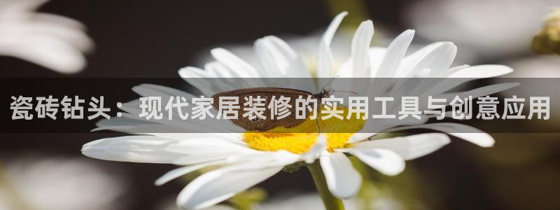 金年会官方客服
