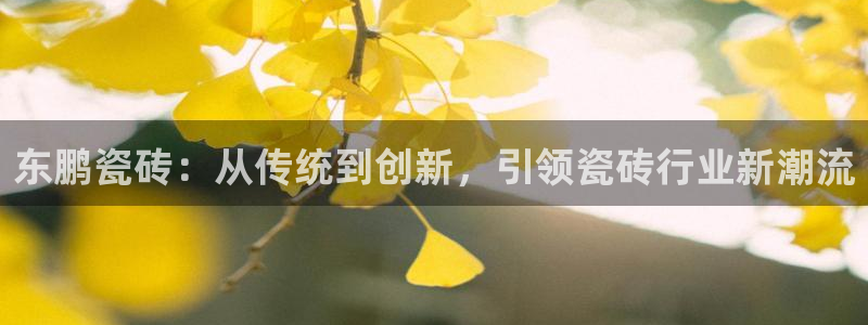 金年会最新官网