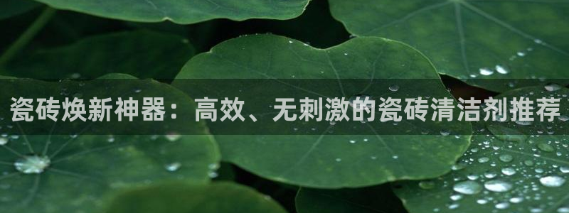 金辉城年会视频