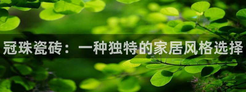 金年会体育金年会官网