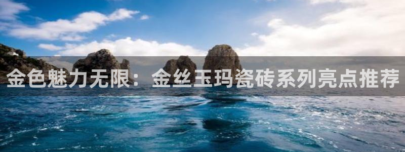 金年会体育app官网