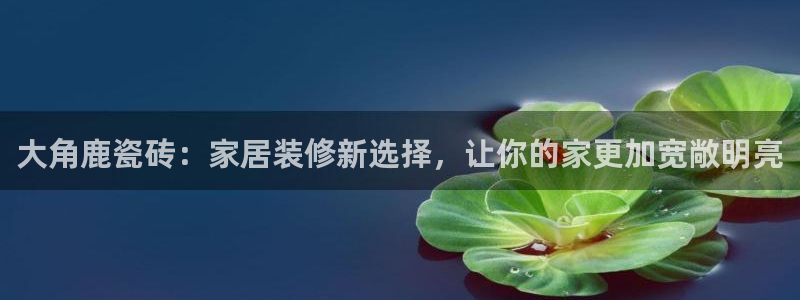 金年会体育官方