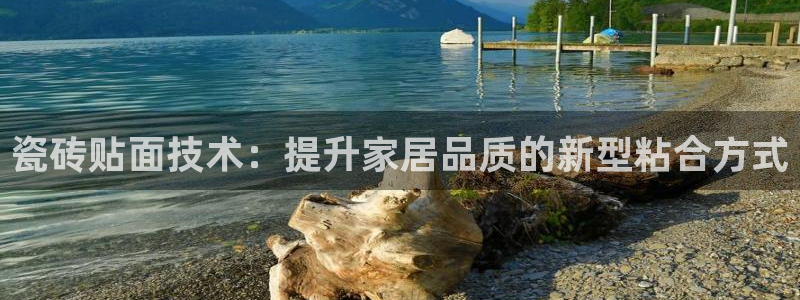 金年会娱乐提现