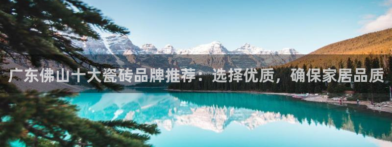 金年会电子游戏app