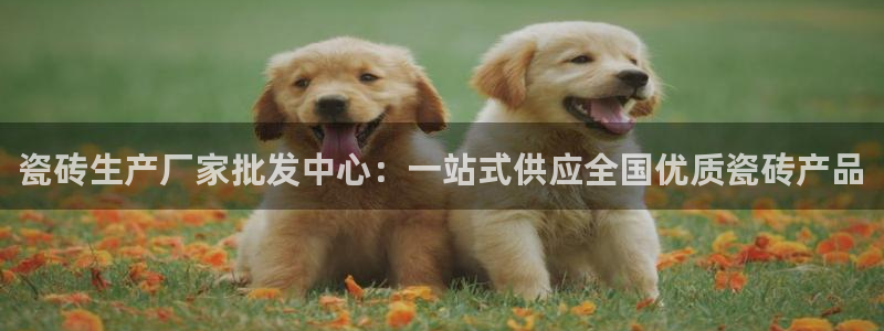 金年会电子游戏