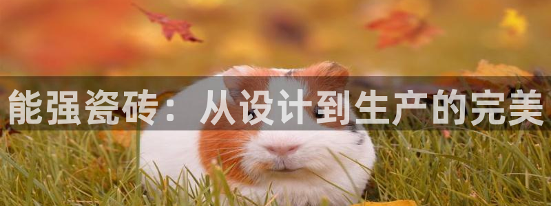 金年会金字招牌至上