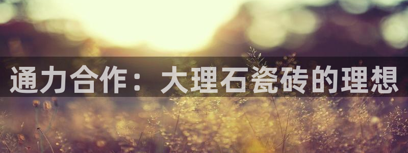 金年会娱乐下载