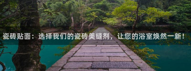 金辉城年会视频