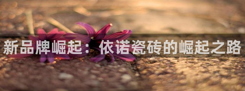 金年会体育在线登录