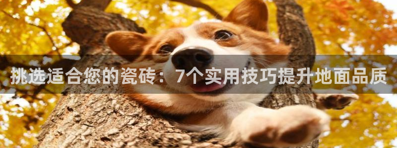 金年会赞助西甲