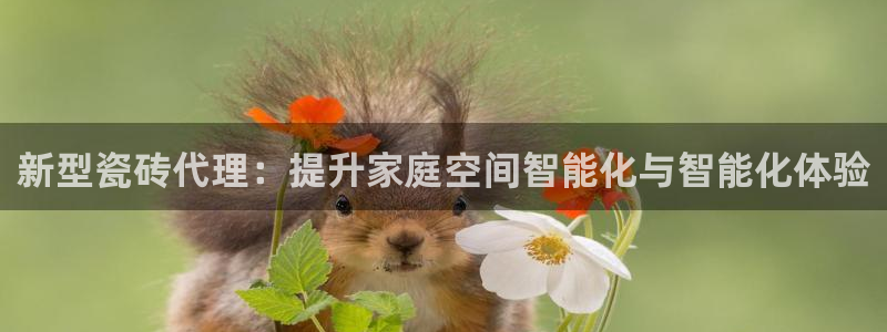 金年会娱乐官网