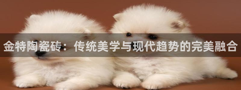 金年会体育app下载