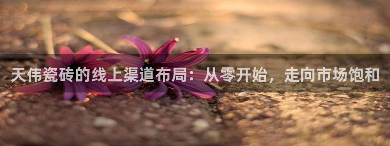 金年会体育下载app