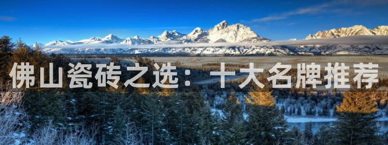 金年会在线下载