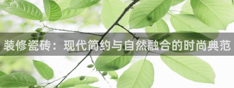 金年会网官网新版