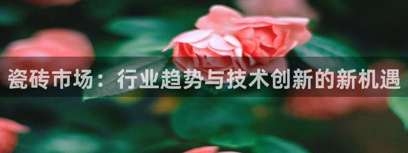 金年会吧