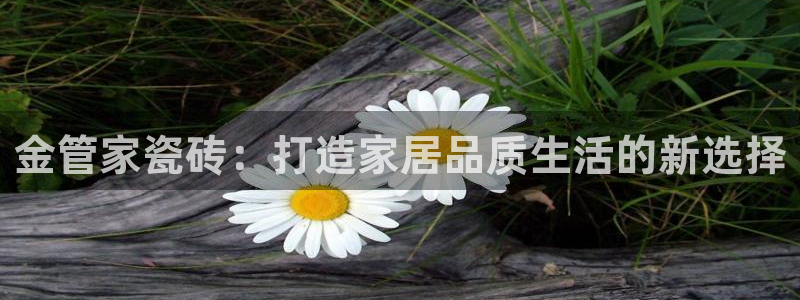 金年会官方网址登录路线