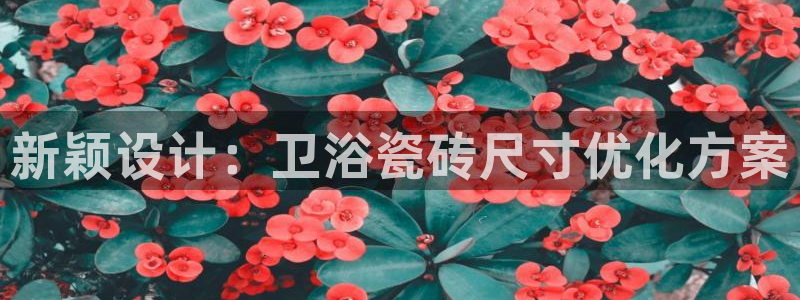 金年会官方网址登录路线