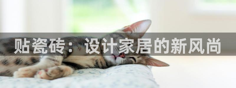 金年会网址