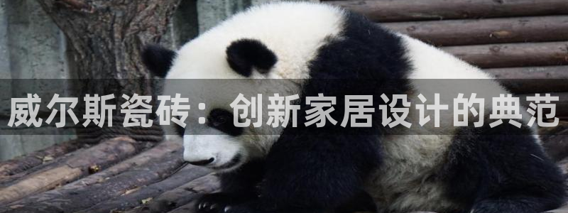 金年会介绍