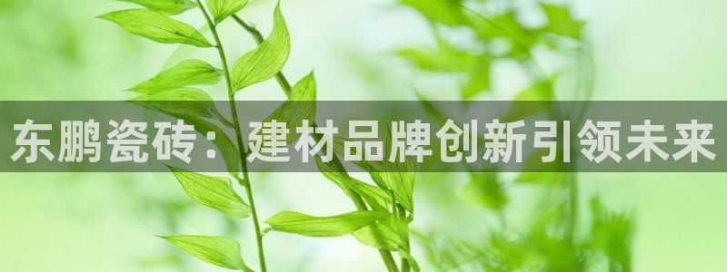 金年会官方体育登录入口