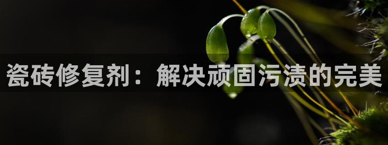 金进年会