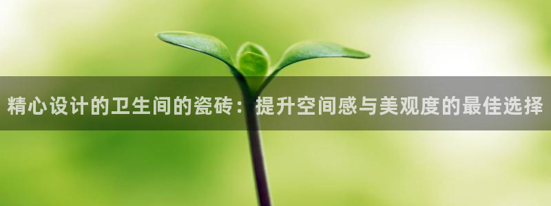 金年会是真的吗