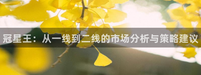 今年会送彩金28