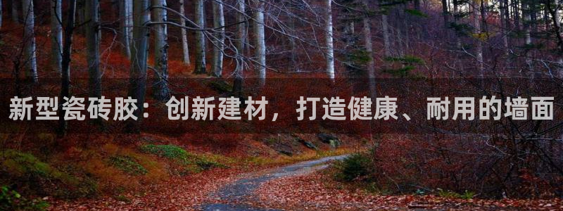 金联金年会
