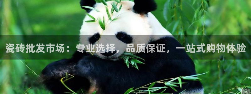 金辉城年会视频