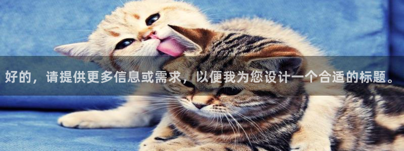 金联金年会