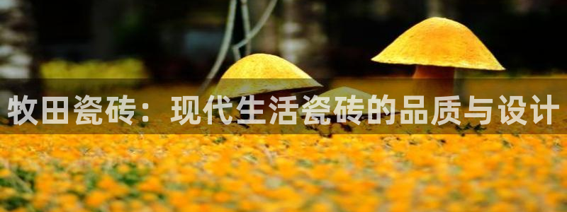 金齿科年会