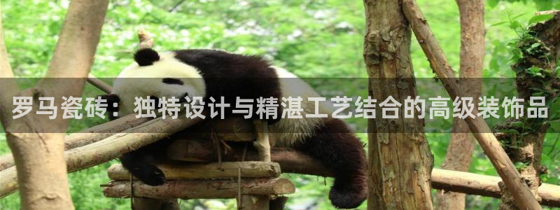 金年会金字招牌下载